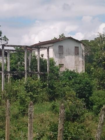 Fazenda Ibicaraí - Foto 18
