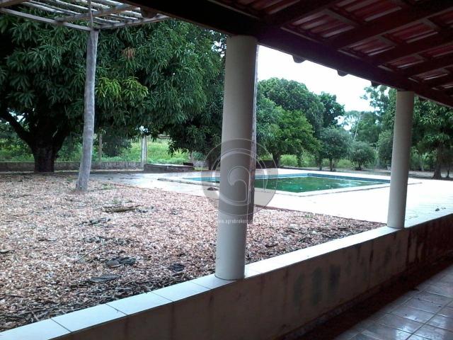 Sitio no cinturão verde - Foto 15