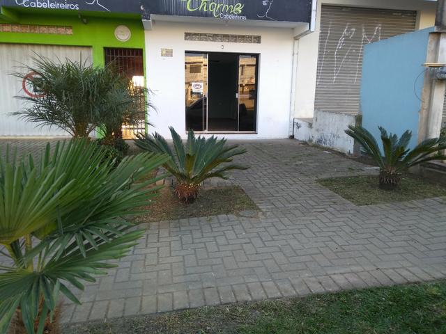 Permuto por áreas de terra - Foto 5