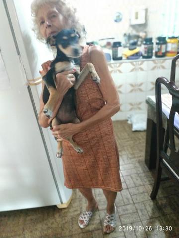 Doação - está com uma pessoa idosa que não tem mais saúde pra cuidar - Foto 2