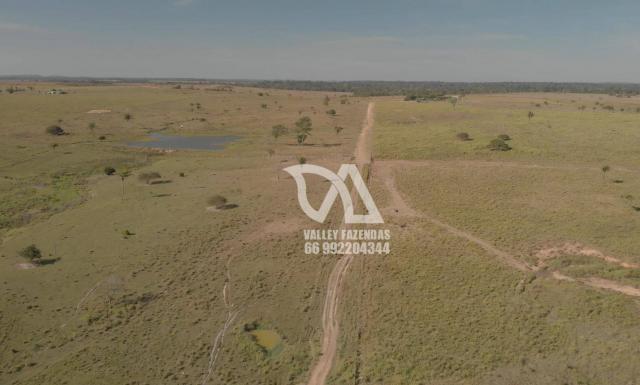 Fazenda à venda, 1134 hectares por R$ 24.000.000,00 - Novo Mundo/MT - Foto 14