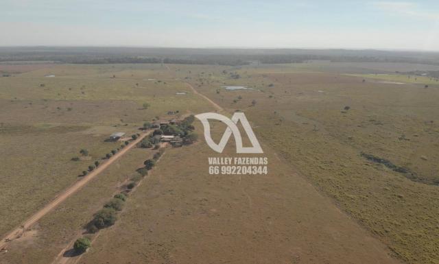 Fazenda à venda, 1134 hectares por R$ 24.000.000,00 - Novo Mundo/MT - Foto 9
