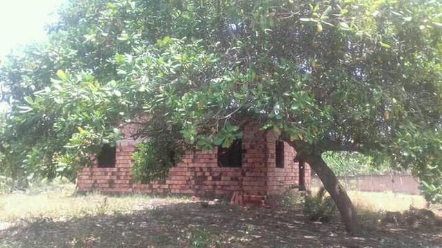Sítio em panaquatira são José de ribamar - Foto 5