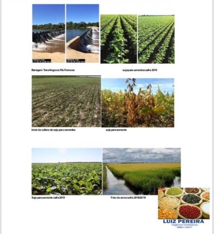 FAZENDA A VENDA P/ AGRICULTURA, PROJETO IRRIGAÇÃO EM LAGOA DA CONFUSÃO -TO