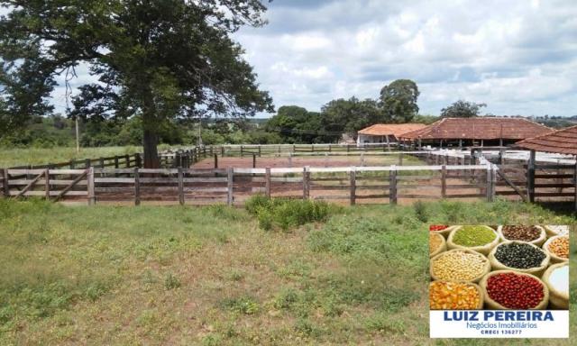 FAZENDA A VENDA DE 906 ALQUEIRÕES EM ARAGUAÇU - TO (Dupla Aptidão) - Foto 18