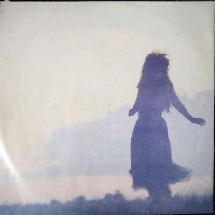 LP The Sisters of mercy - Floodland - Foto 6