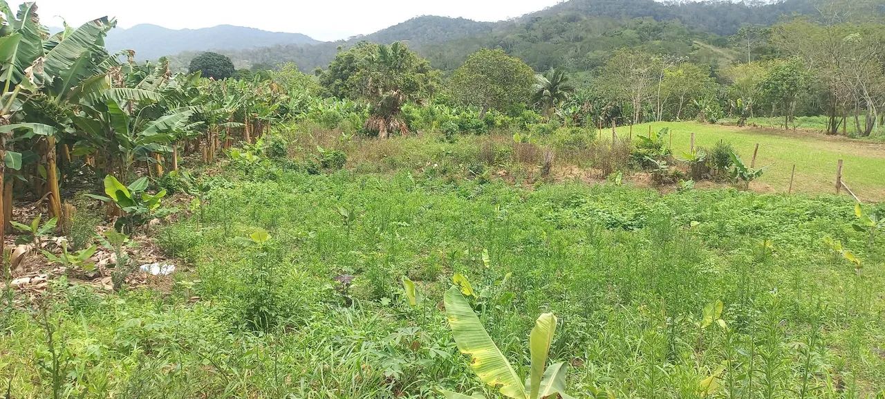 Vendo 6500mts P. de Toledo SP