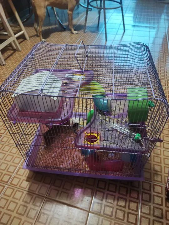 Três gaiolas para hamster - Foto 2