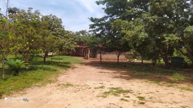 Sitio com 40 hectares, casa sede, piscina, a 25 km de Timon, na margem BR-226. - Foto 3