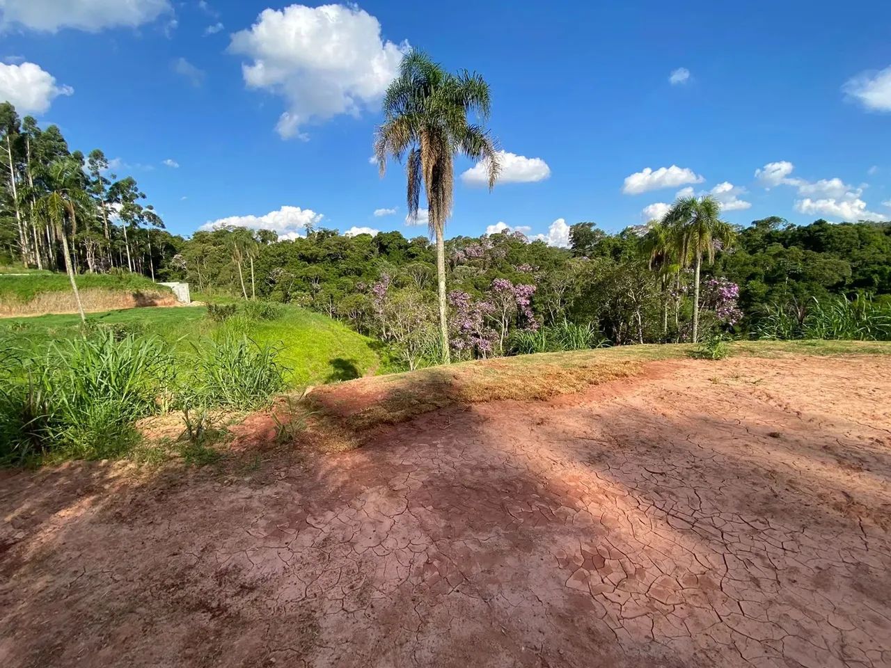 Terreno de 1000m² com terraplanagem - Foto 4