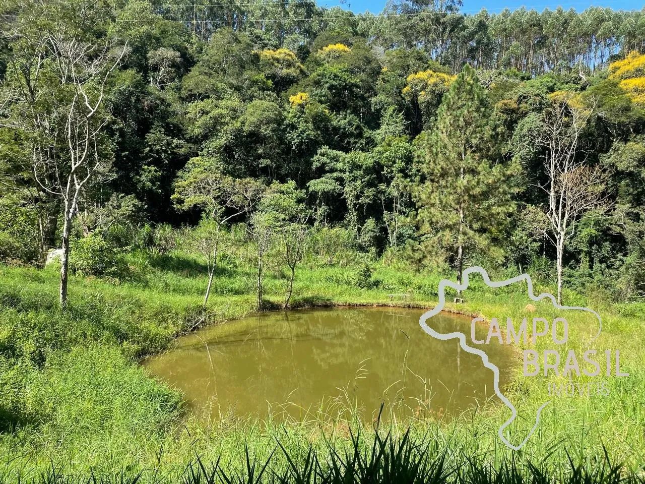 SÍTIO 3 ALQUEIRES COM LAGO EM JAMBEIRO ! - Foto 4
