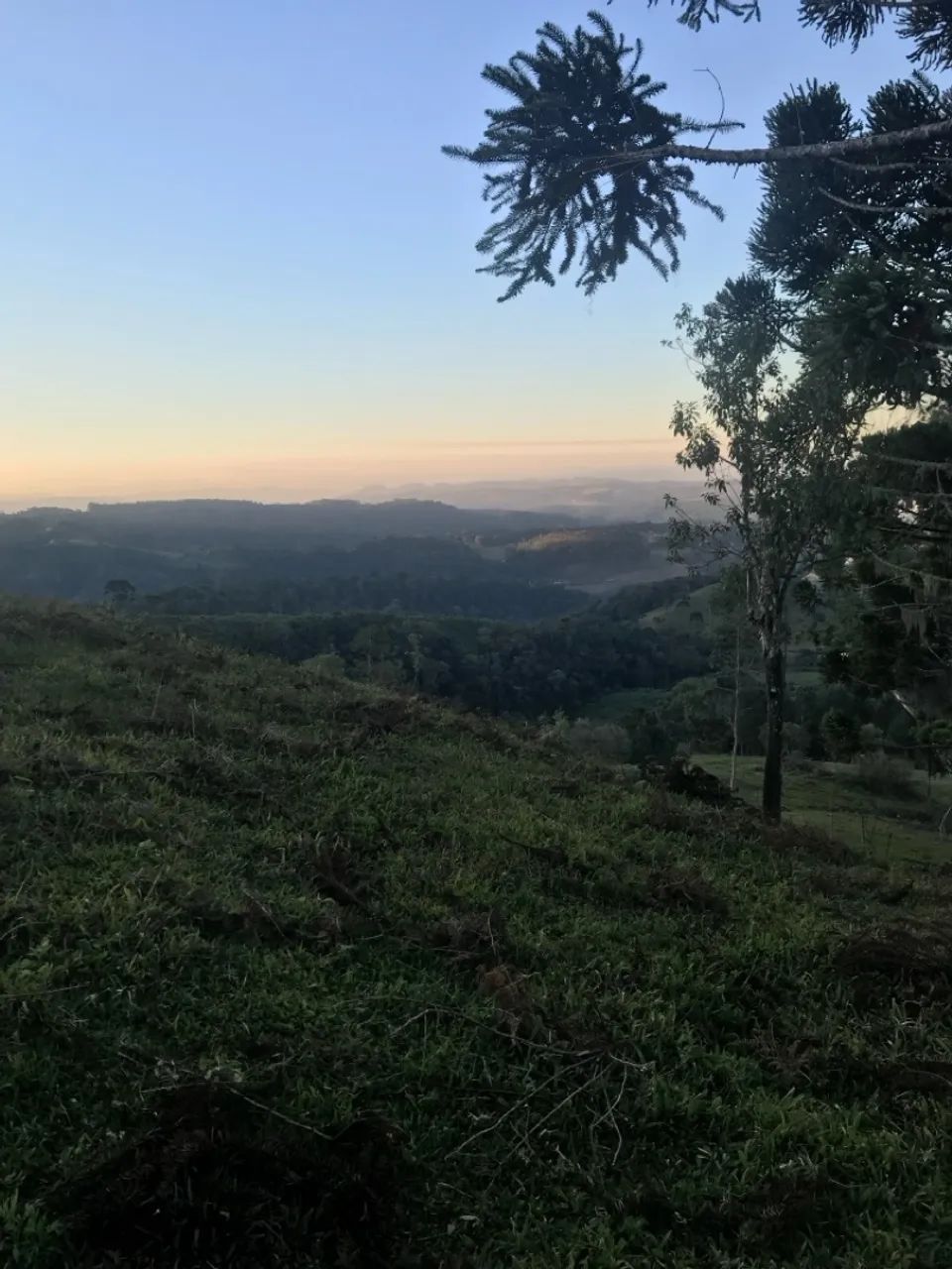 Terreno 3 hectares Bom Retiro/SC (OPORTUNIDADE)  - Foto 2