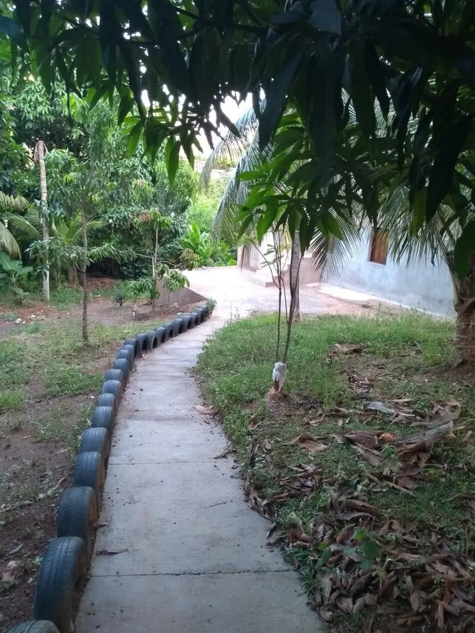 Aluga-se casa em Mussurunga 1 Setor A.