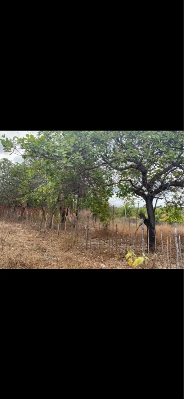 Vendo 2 lotes terreno na caucaia (mirambe)