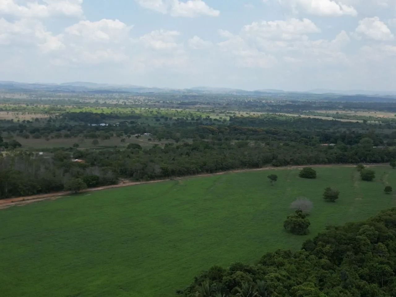 Fazenda com DÍVIDA, 1.700 alqueires a 100km de Araguaína 140 milhões. - Foto 3