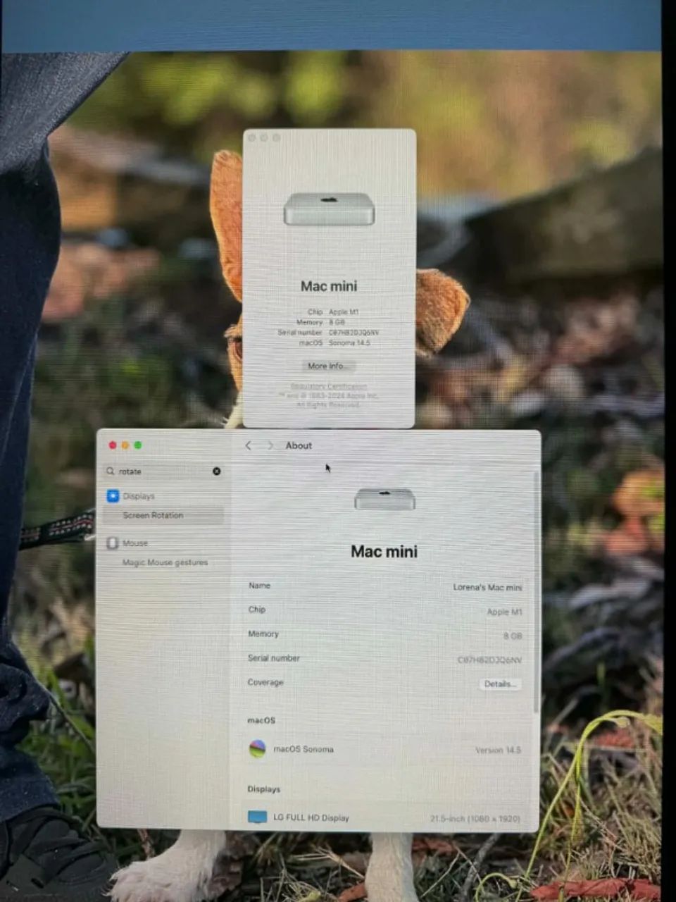 MAc mini M1 - Foto 4
