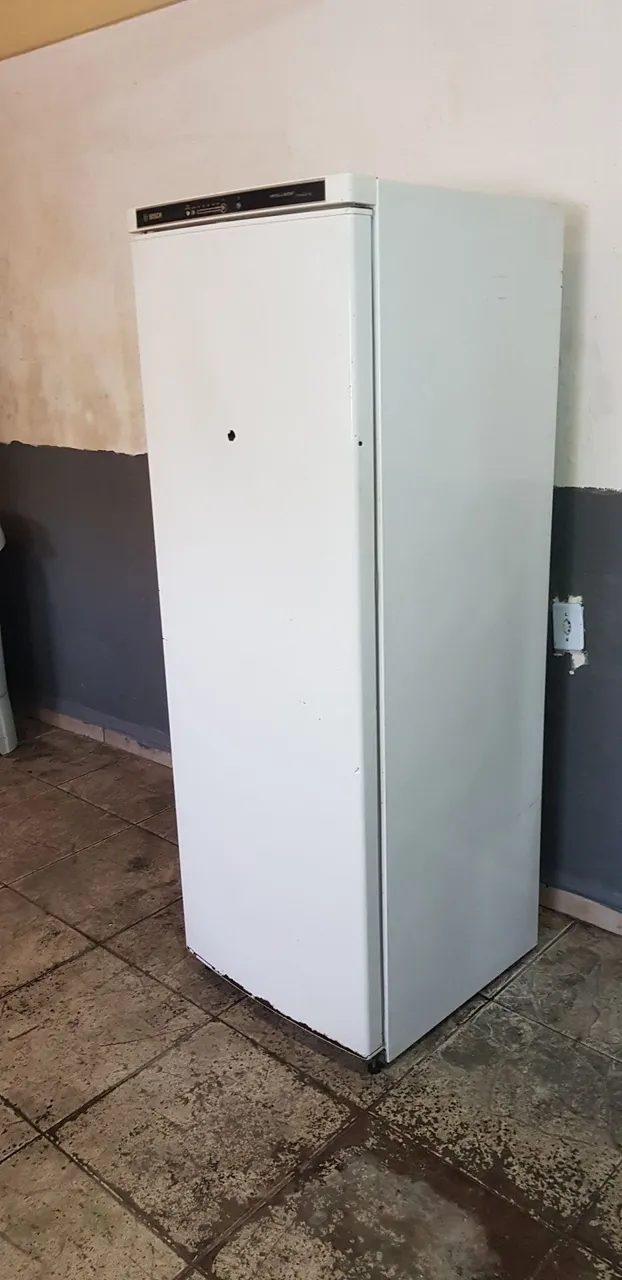 Geladeira Bosch Clássica - Excelente Capacidade