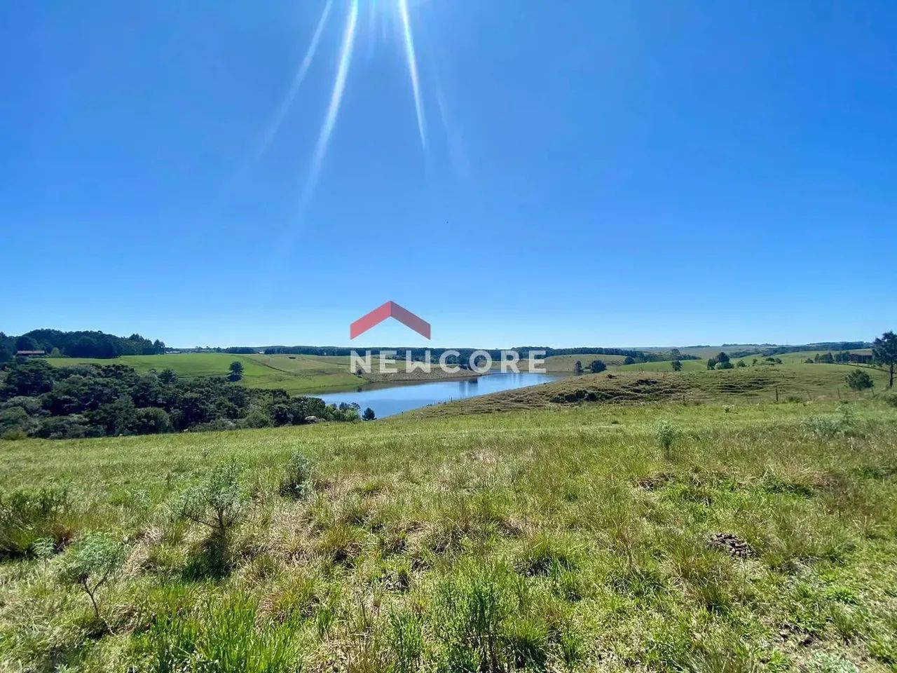 Lote em Campo do meio - Campo do Meio - São Francisco de Paula/RS - Foto 3