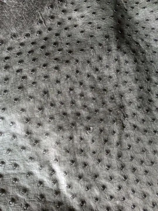 Couro de avestruz. Excelente oportunidade!  - Foto 2