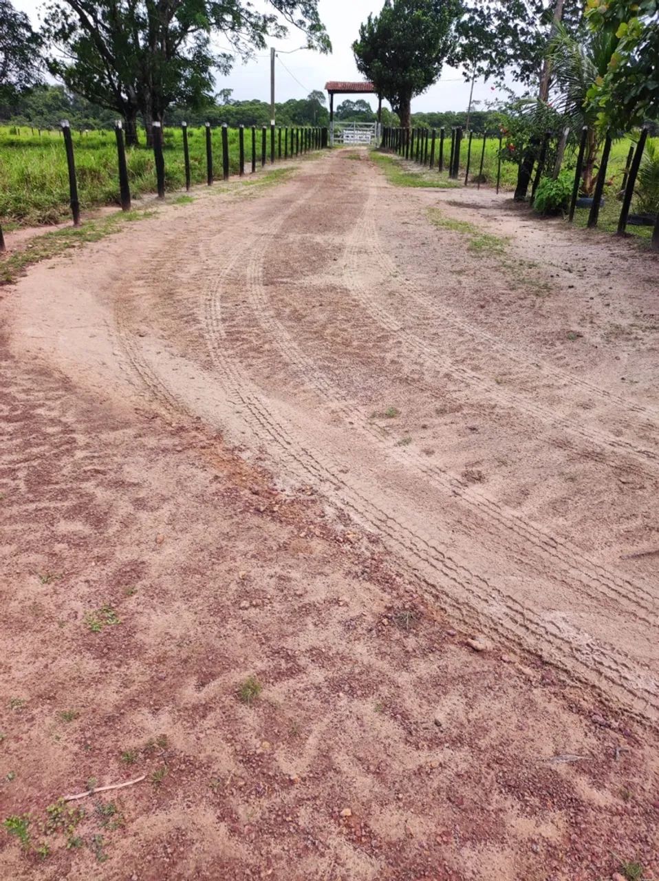 FAZENDA EM SANTA MARIA/PA - Foto 3