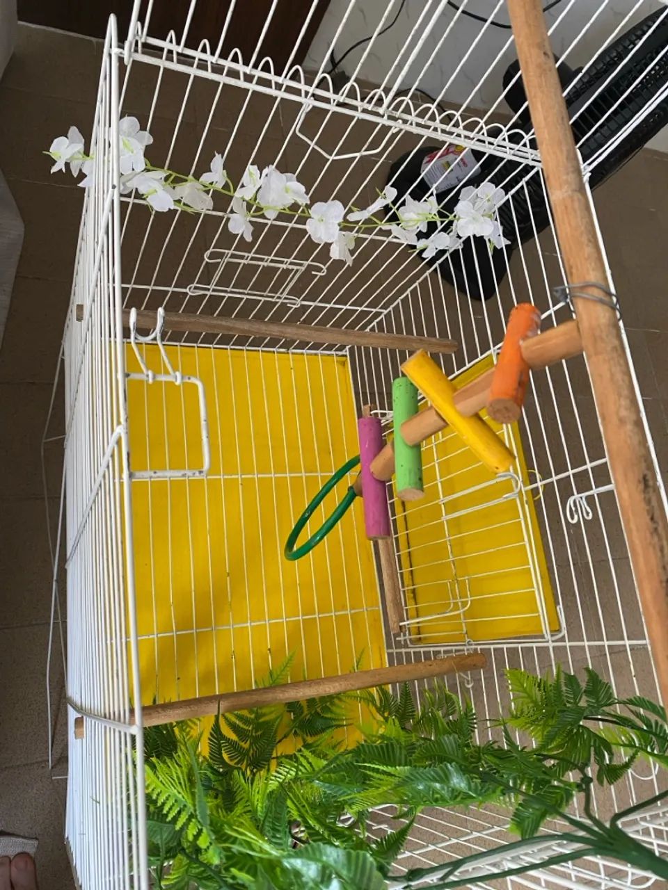 Gaiola para Pássaros Completa com Acessórios - Foto 3