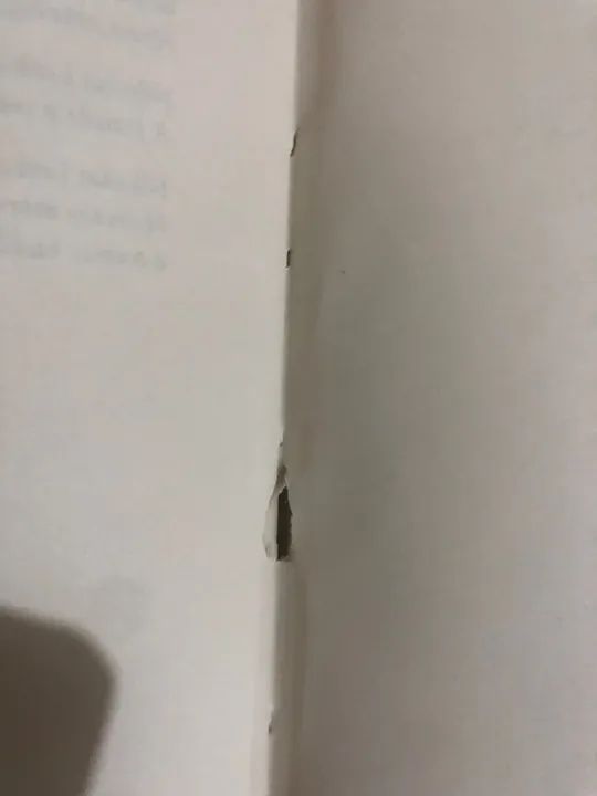 Ivan Turguêniev - Rúdin - Foto 2