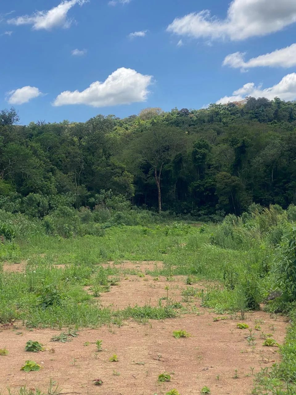 Lotes de 500m² em Ibiúna com lago e trilha de caminhada! - Foto 3