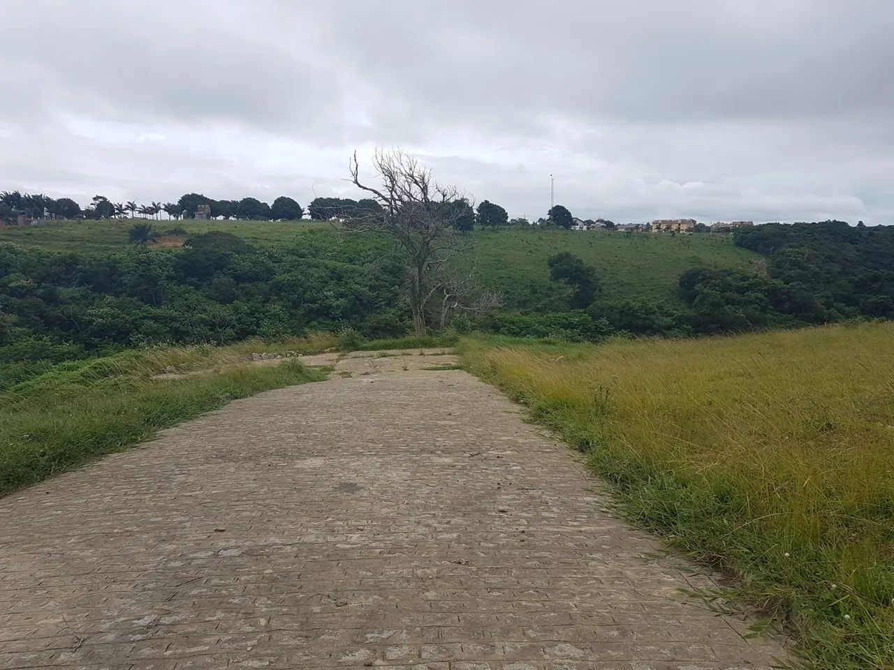 Terreno em Bananeiras  - Foto 5