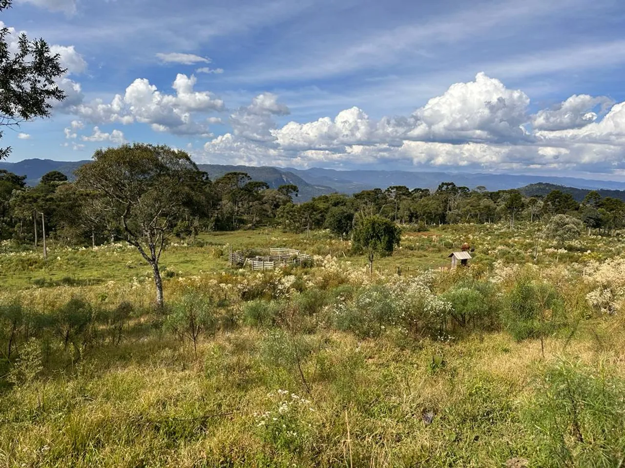 Terreno/Fazenda/Sítio/Chácara à venda em Urubici/SC