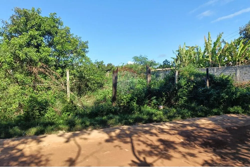 Terreno de 600m² por 86$ mil rua das Palmeiras Maria Joaquina