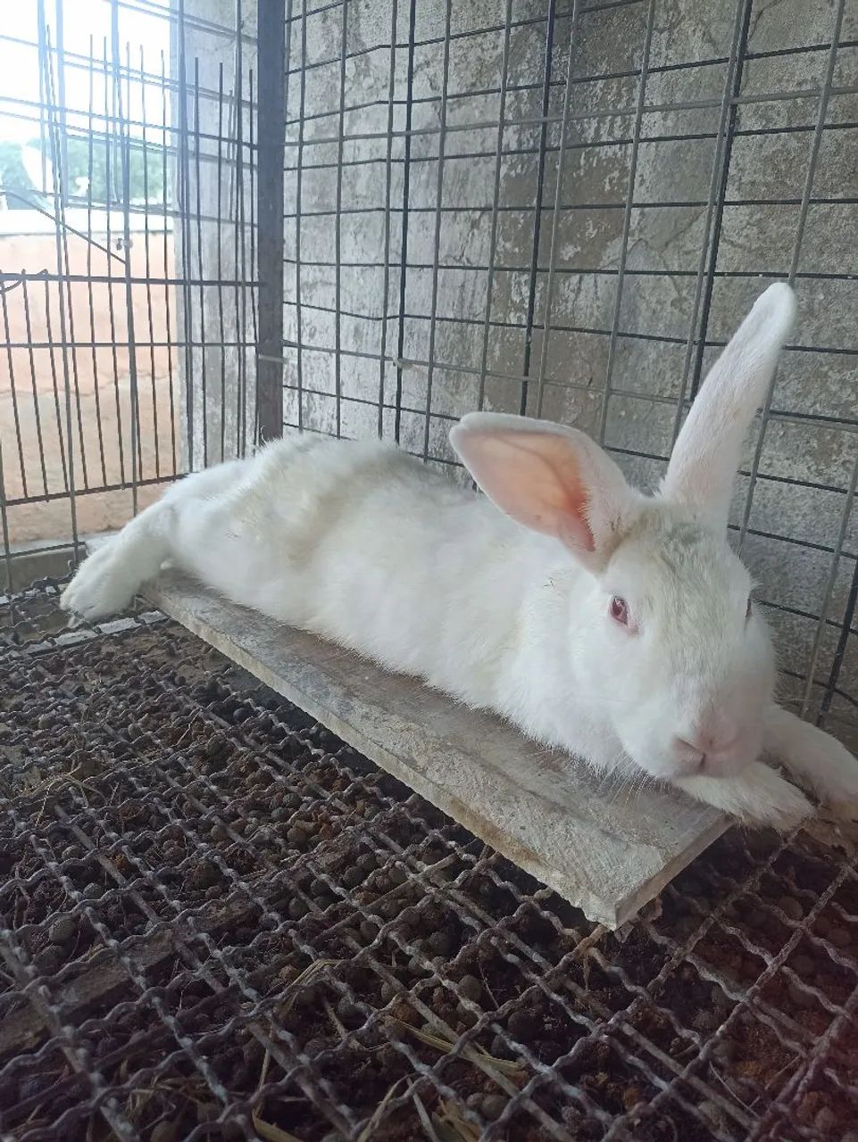 Vendo todos  - Foto 6