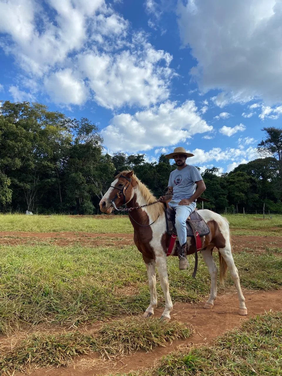 Vendo Cavalo paint horse