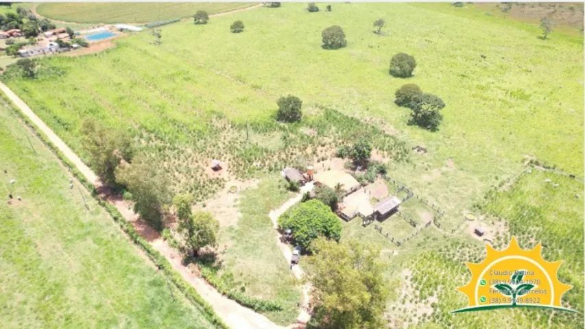 Fazenda 97 hectares - Foto 5