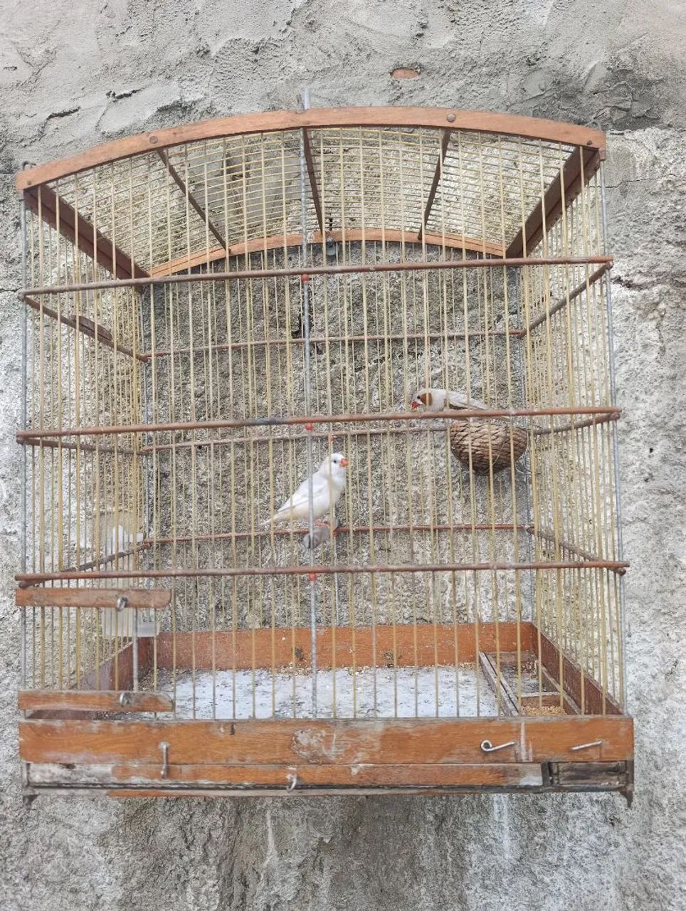 Gaiola com ninho - Foto 2