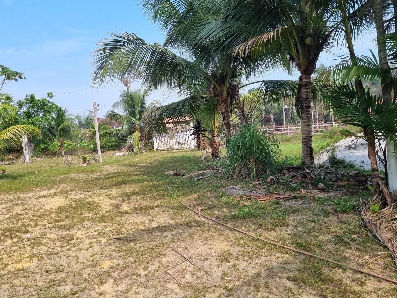 sítio no ramal +500 plantas frutíferas  - Foto 5