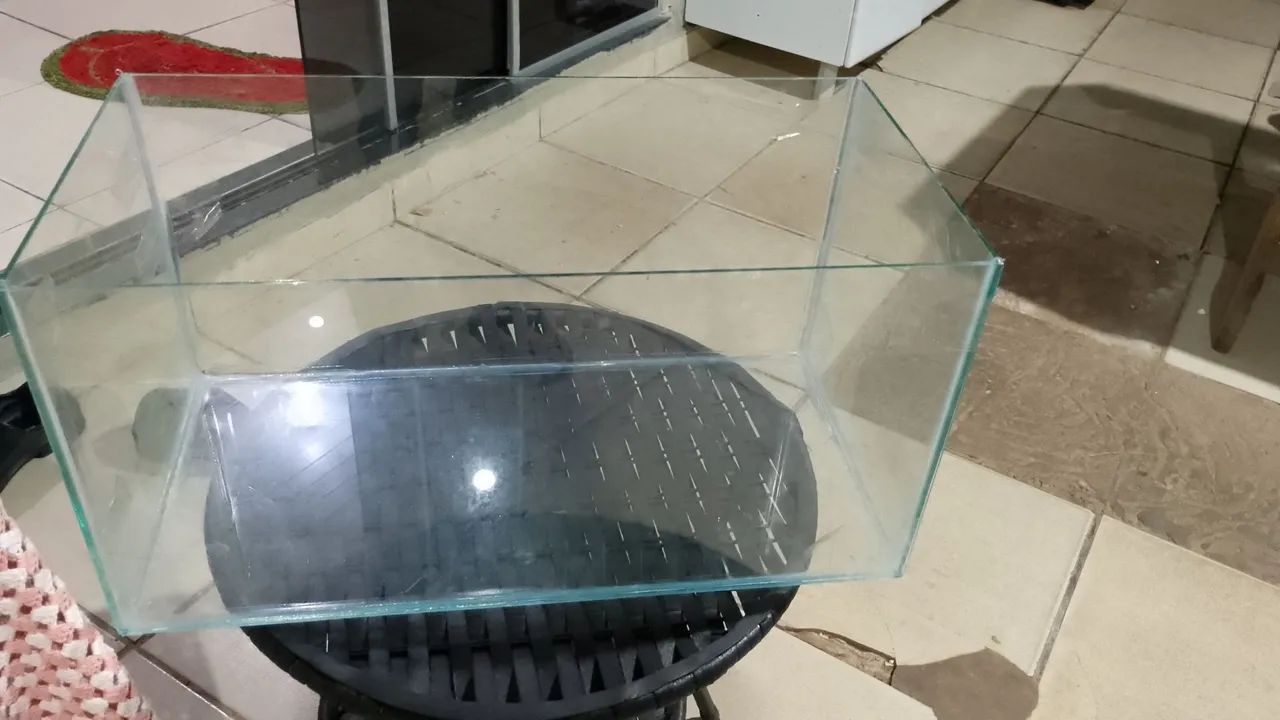 Promoção de aquário para peixes