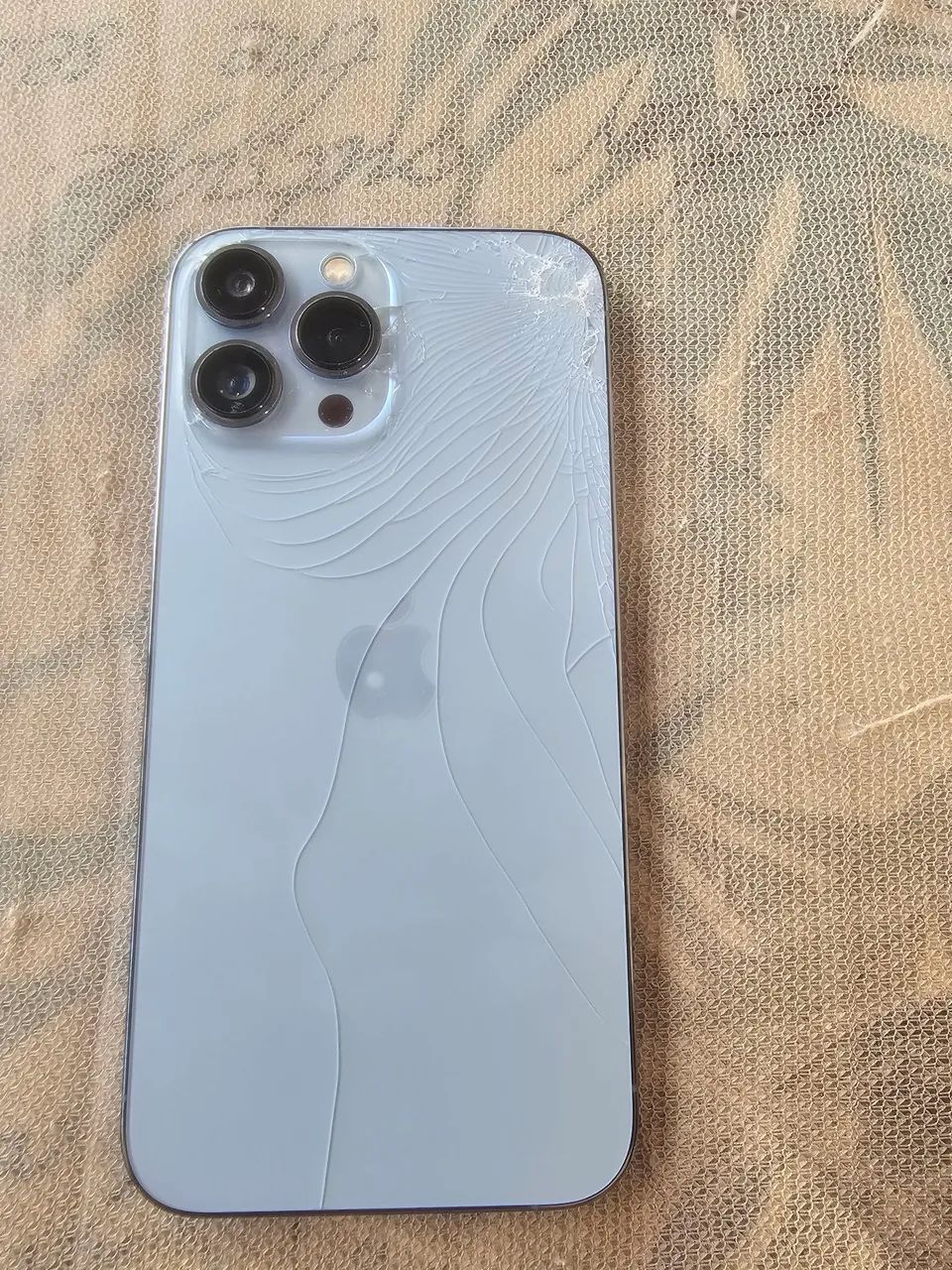 Iphone 13 pro Max (Cameras off)
