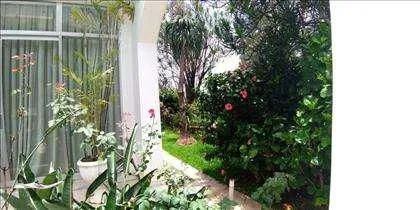 Casa com 10 quartos à venda em Belo Horizonte - Foto 2