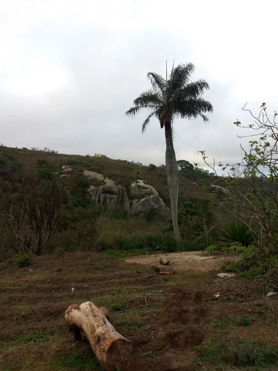 Vende-se Sítio em Alagoa Nova  - Foto 3