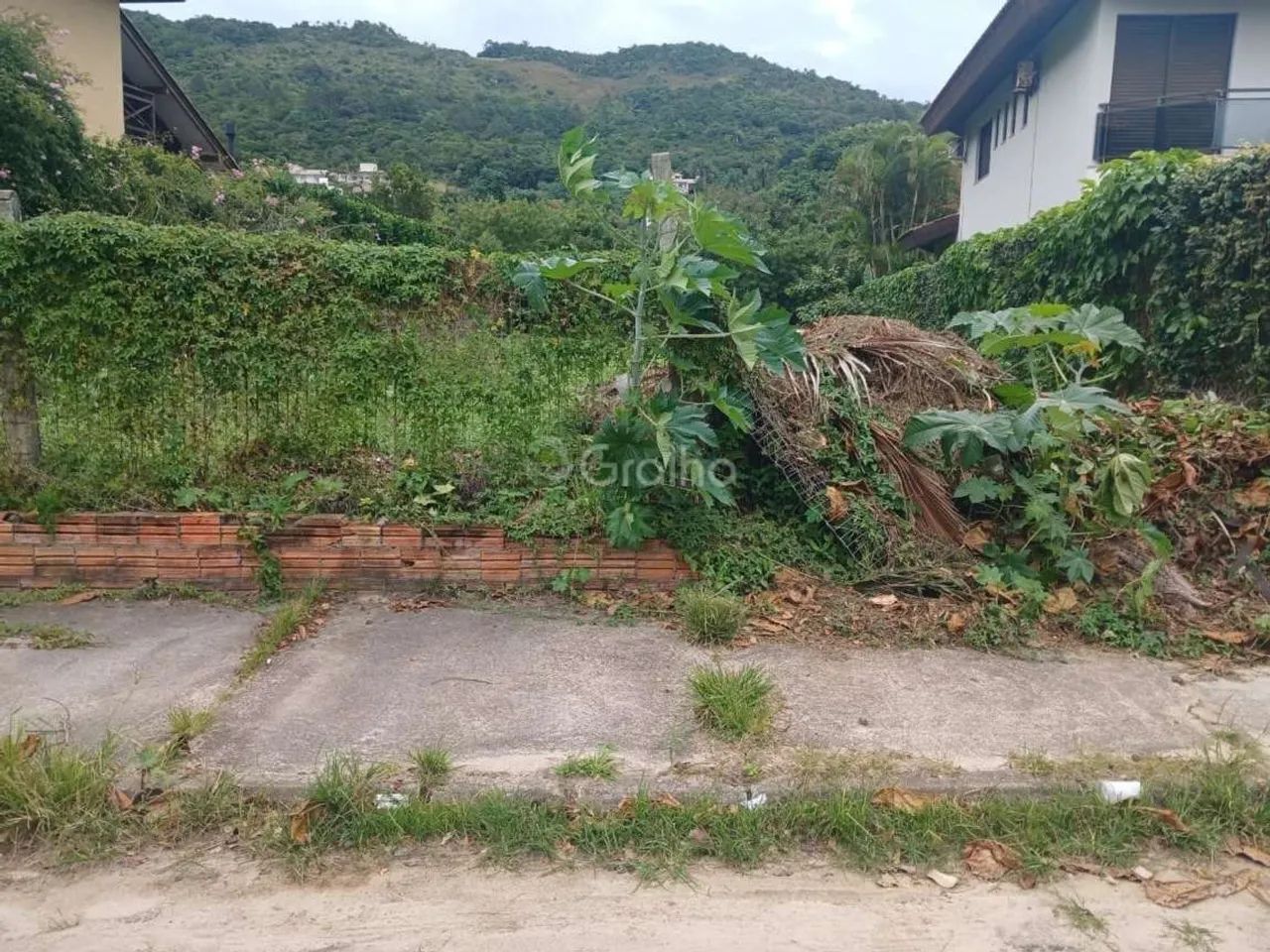 Terreno para Venda em Florianópolis, Praia Brava - Foto 4