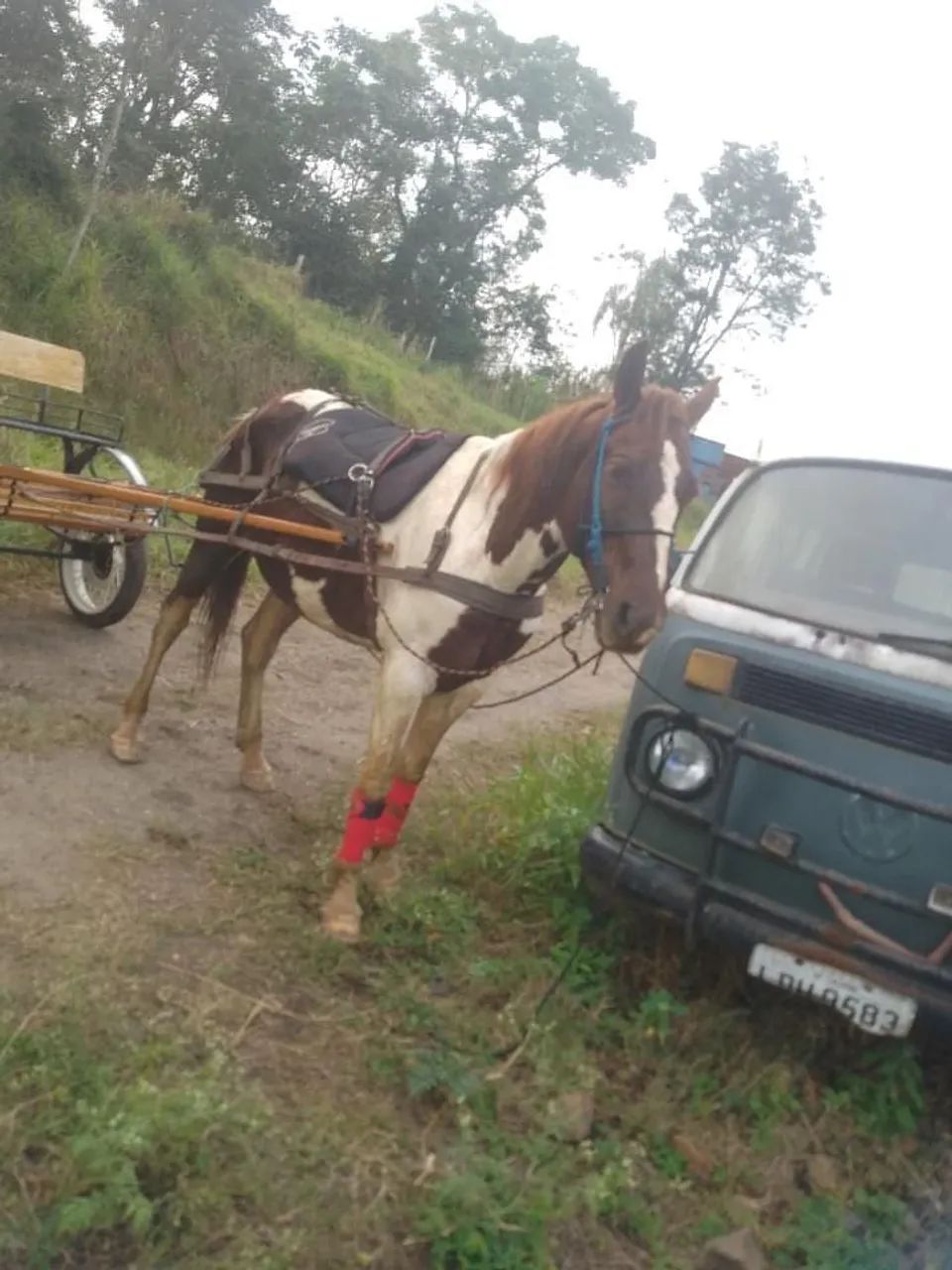 Vendo charete  - Foto 4
