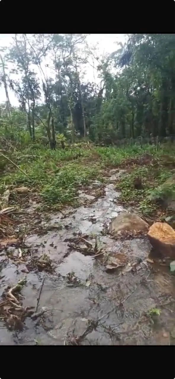 Terreno em Ubatuba  - Foto 2