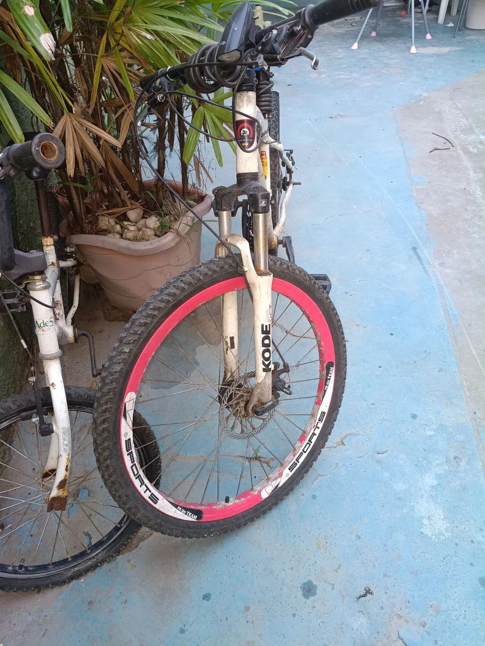 Vanda de bicicleta ? - Foto 3