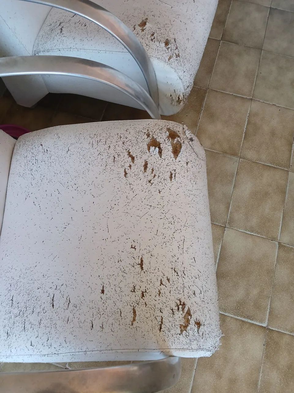 Poltronas de courinho para reformar  - Foto 4