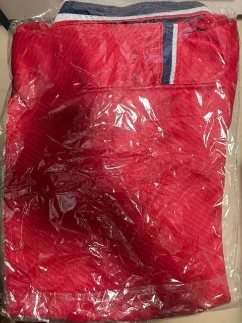 Jersey BUDWEISER FWC26 (Camiseta - P)  - Foto 4