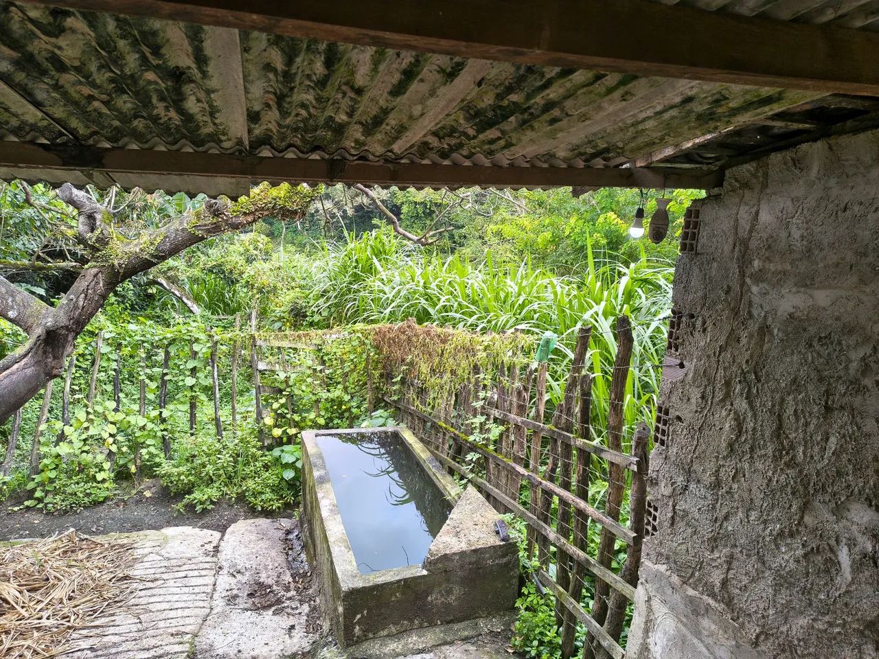 Venda de Sítio  - Foto 4