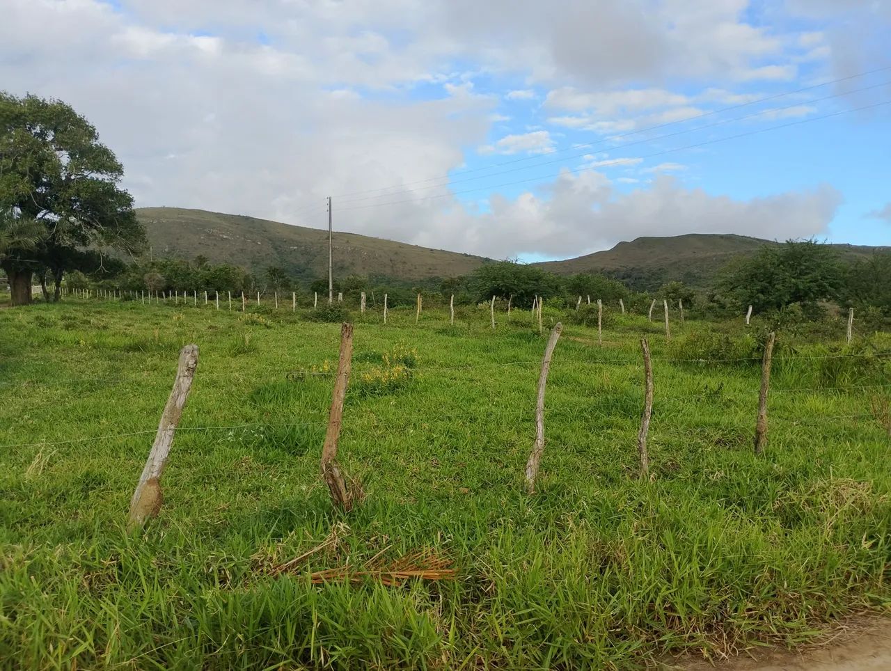 Sítio povoado serra comprida areia Branca sergipe - Foto 2