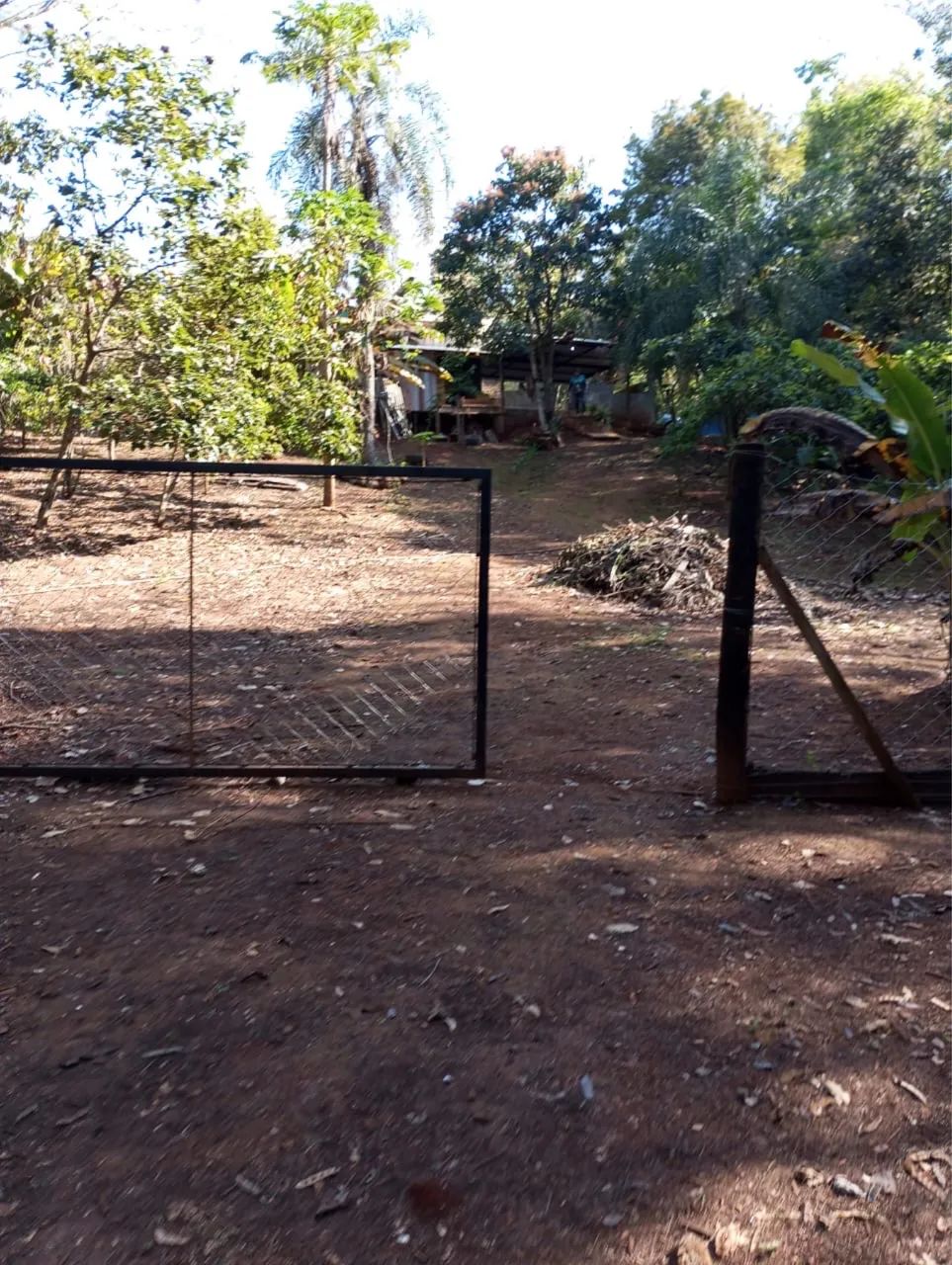 Vendo chácara inteira ou metade  - Foto 5