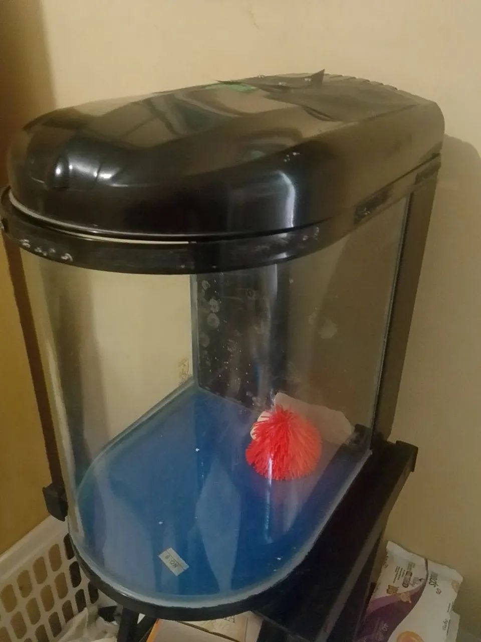 Aquário RSEletronical - Foto 2