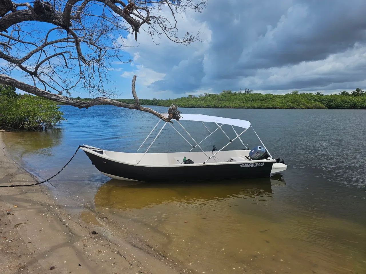 Vendo barco com motor e carretinha 